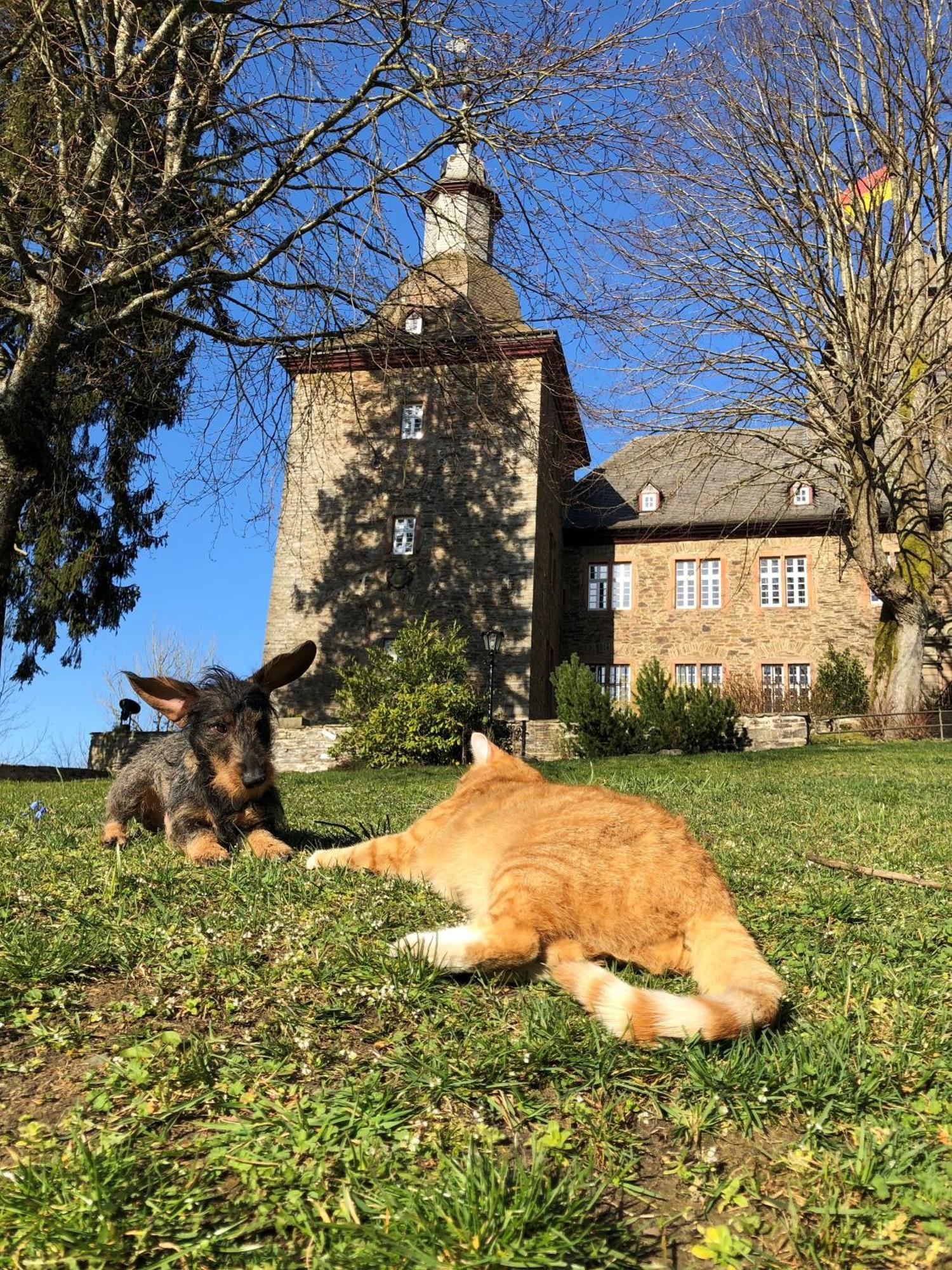 Hotel Und Restaurant Burg Schnellenberg Attendorn Dış mekan fotoğraf